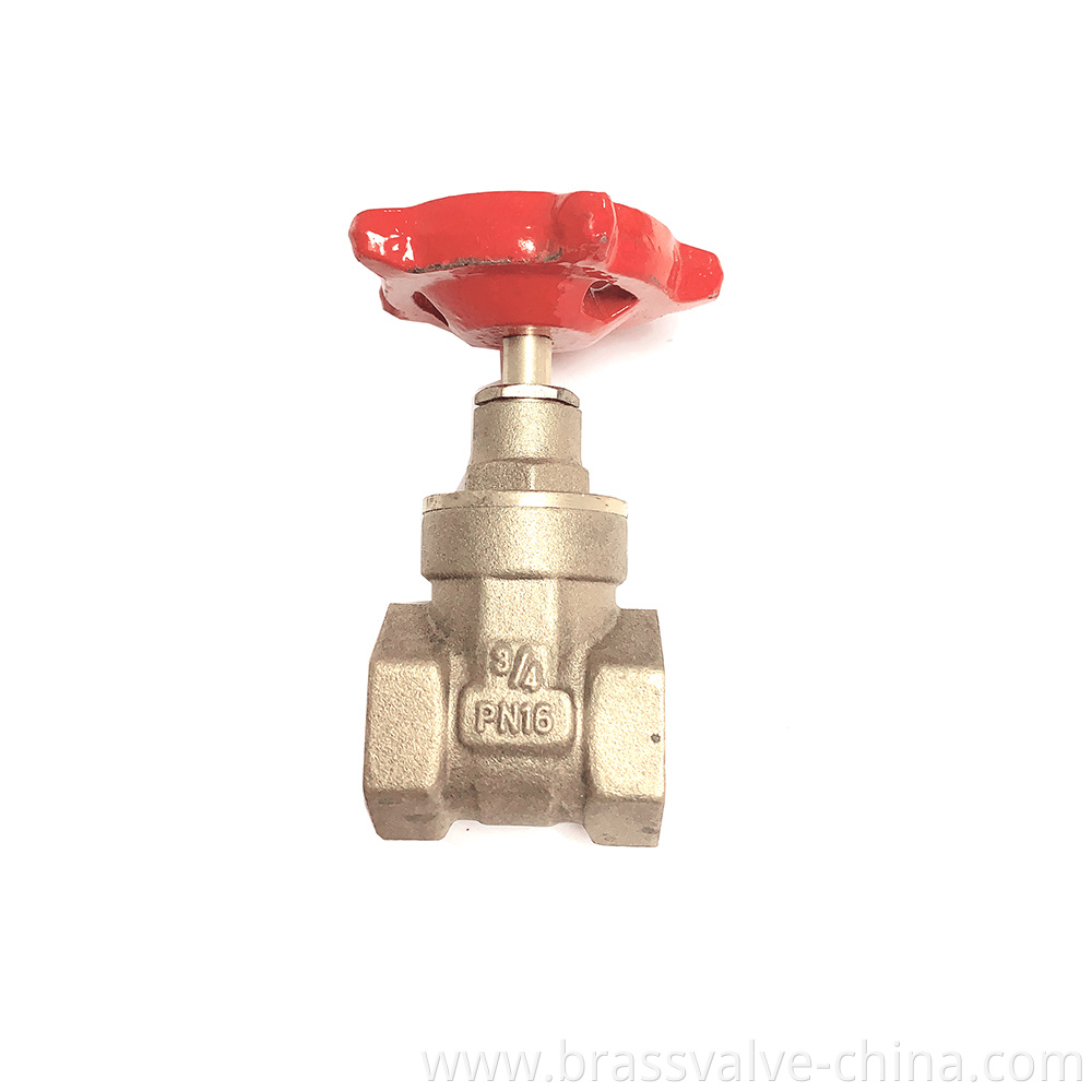 Brass Gate Valve Jpg